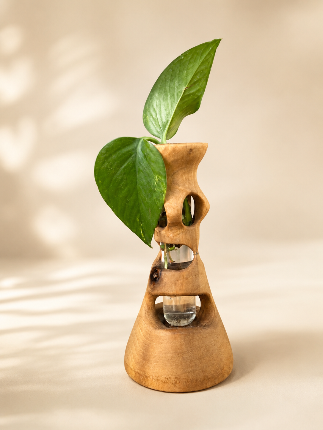 English Walnut Propagation Vase