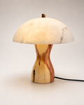 Eastern Red Cedar Alabaster Accent Lamp