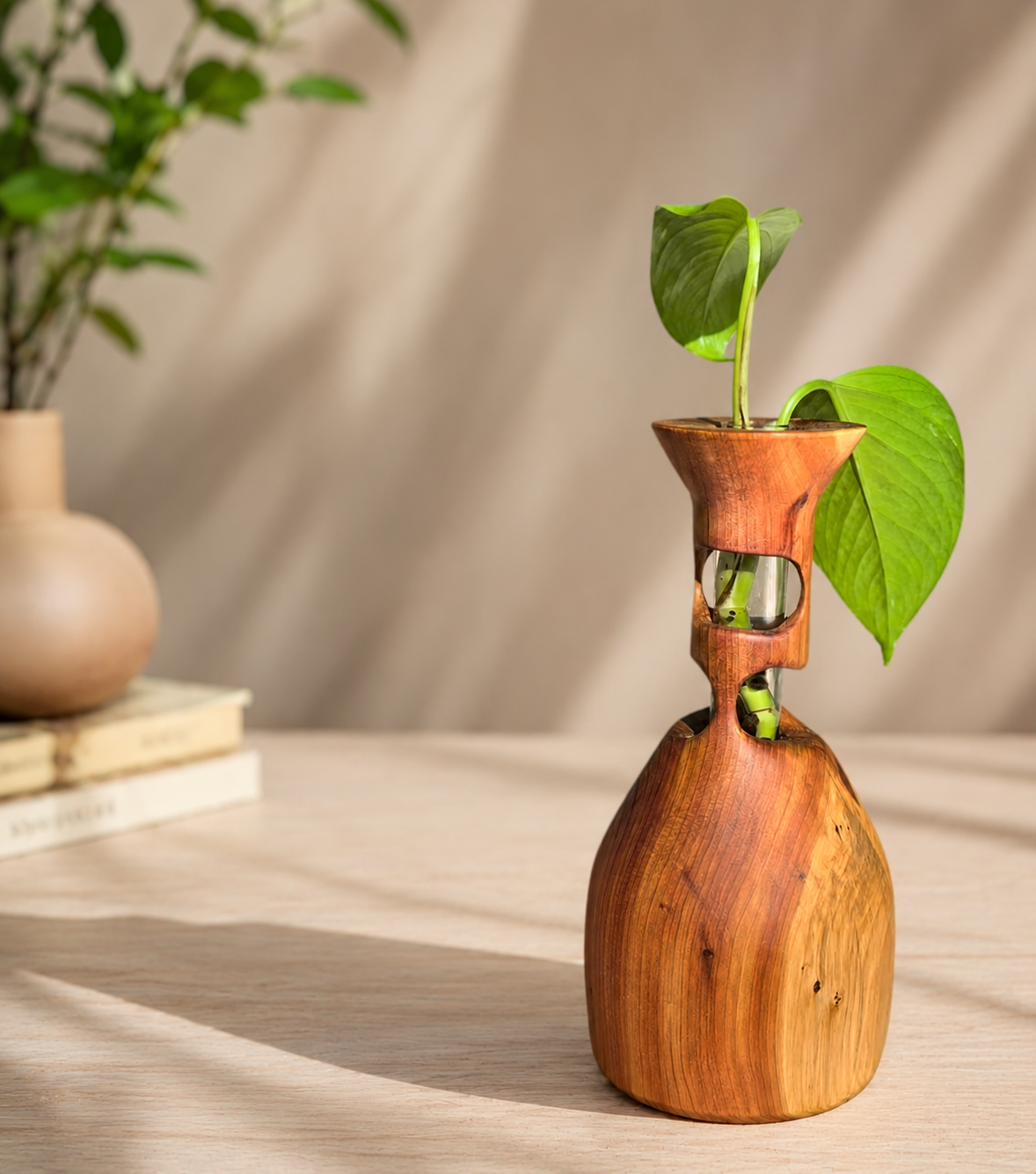 Eastern Red Cedar Propagation Vase