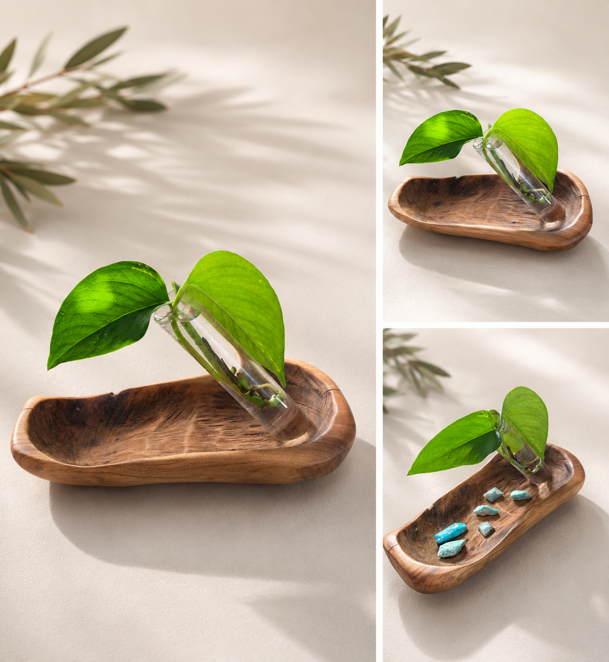 Live Edge English Walnut Propagation Tray (small)